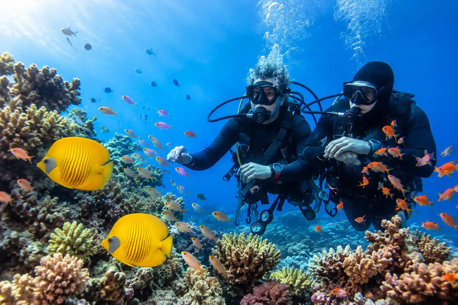 Discover Scuba Diving Experience