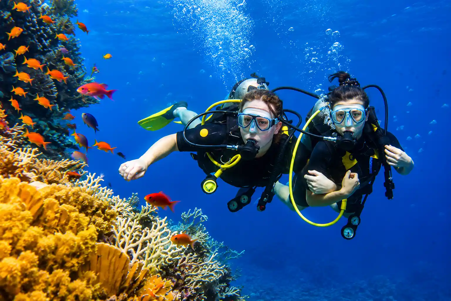 Discover Scuba Diving Experience