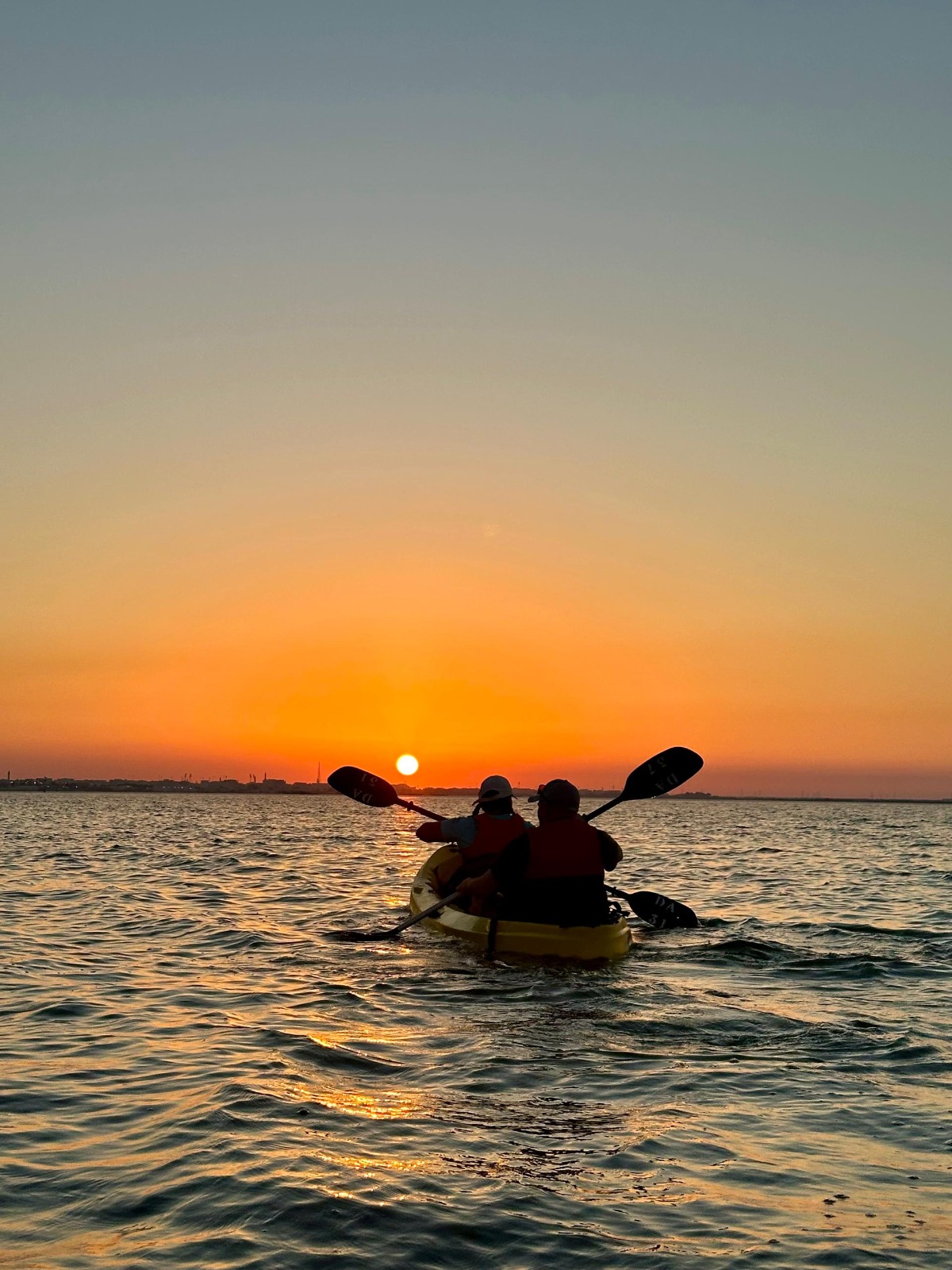 Mangrove Kayaking Experience 