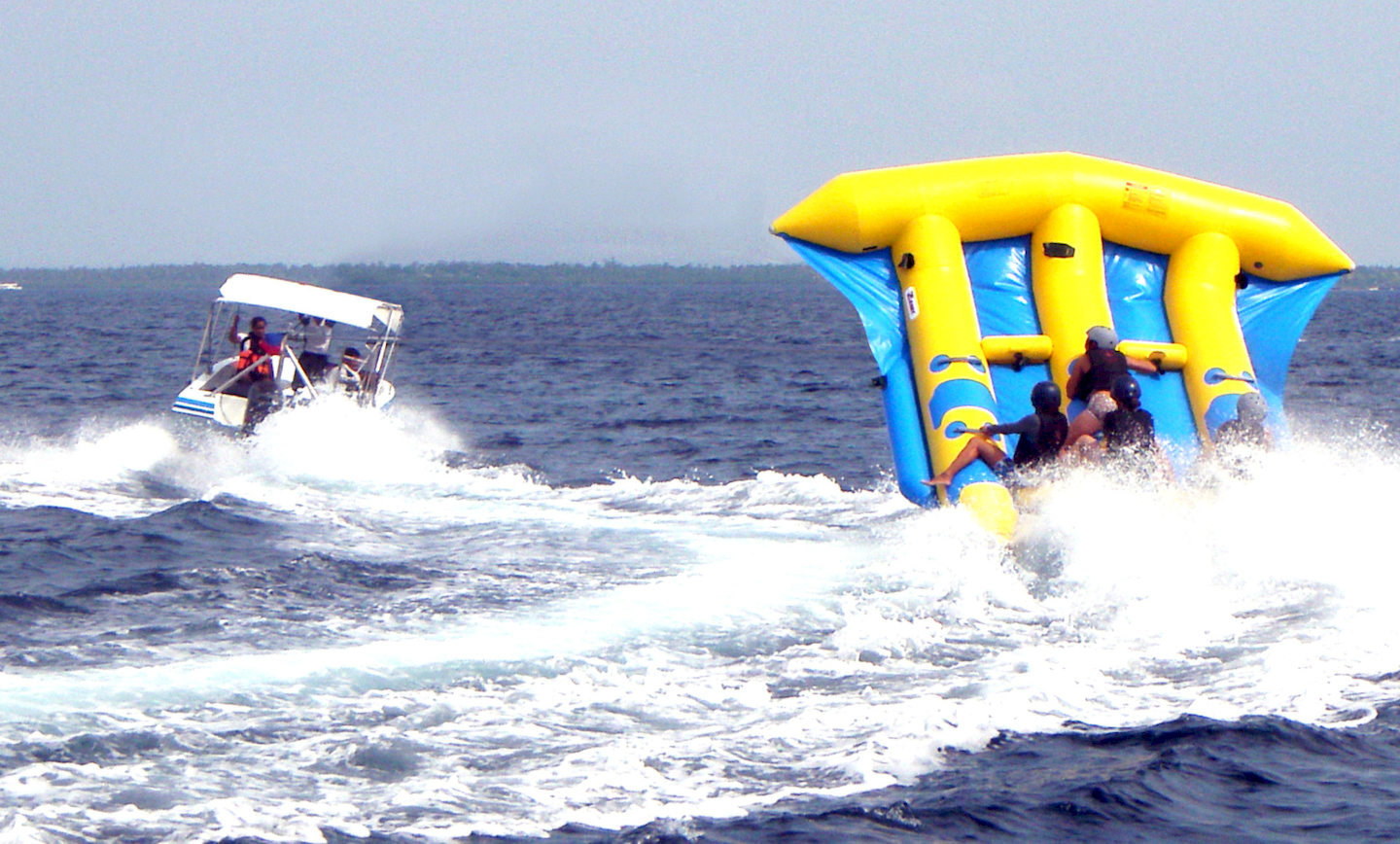 Flying Fish